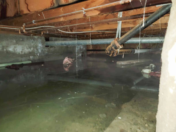 Best Water damage restoration near me  in Aberdeen Proving Ground, MD