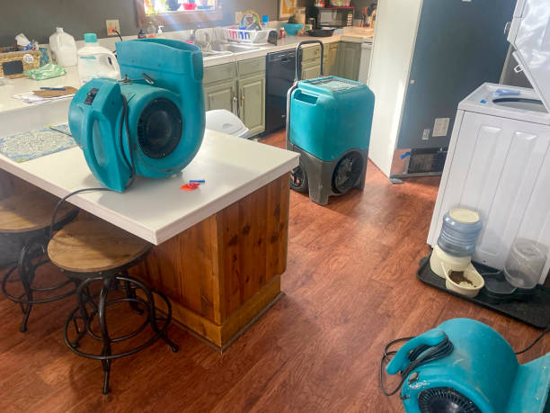 Best Professional water damage repair  in Aberdeen Proving Ground, MD