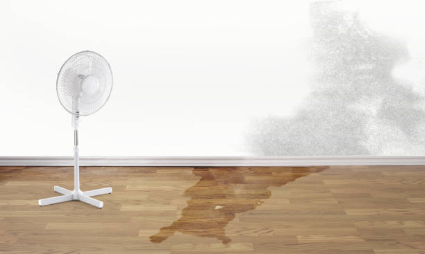 Best Carpet water damage restoration  in Aberdeen Proving Ground, MD