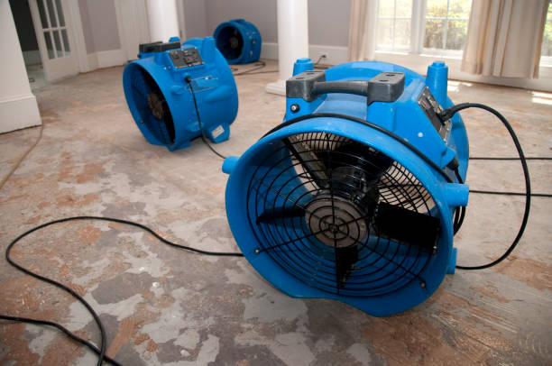 Best Flood restoration services  in Aberdeen Proving Ground, MD