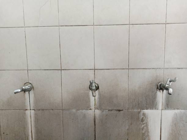 Best Local water damage restoration  in Aberdeen Proving Ground, MD